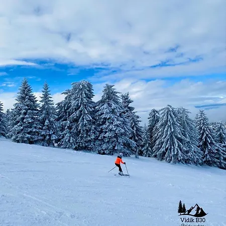 Apartment Duplex Vidik B30 - 85m2 *