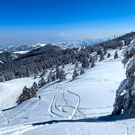 Duplex Vidik B30 - 85m2 Apartment Kopaonik