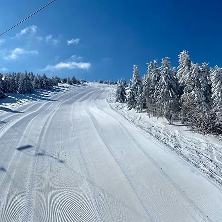 Duplex Vidik B30 - 85m2 Apartment Kopaonik