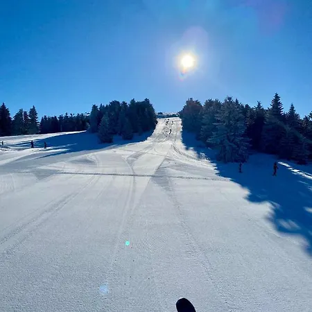 Apartment Duplex Vidik B30 - 85m2 Kopaonik