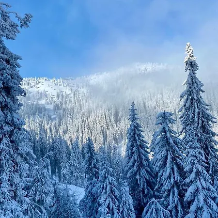 Duplex Vidik B30 - 85m2 Kopaonik