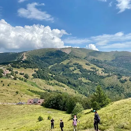 Apartment Duplex Vidik B30 - 85m2 Kopaonik