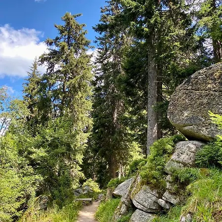 Apartment Duplex Vidik B30 - 85m2 Kopaonik