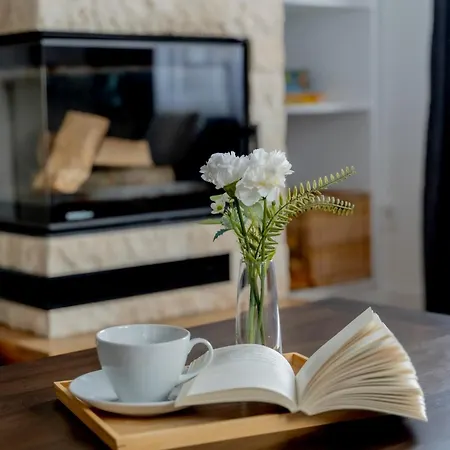 Duplex Vidik B30 - 85m2 * Kopaonik