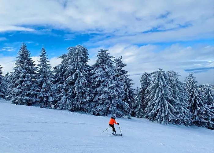 Lejlighed Duplex Vidik B30 - 85m2 *