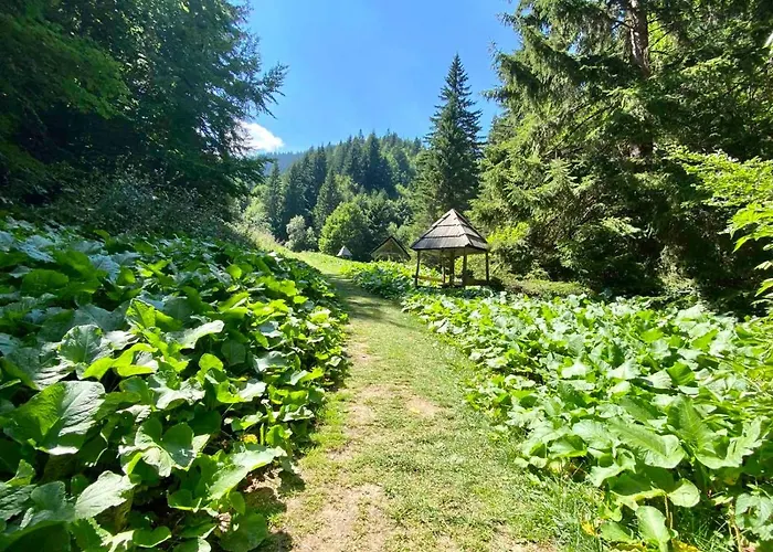 Duplex Vidik B30 - 85m2