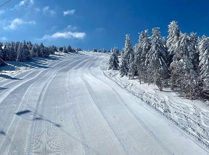 Duplex Vidik B30 - 85m2 Lejlighed Kopaonik