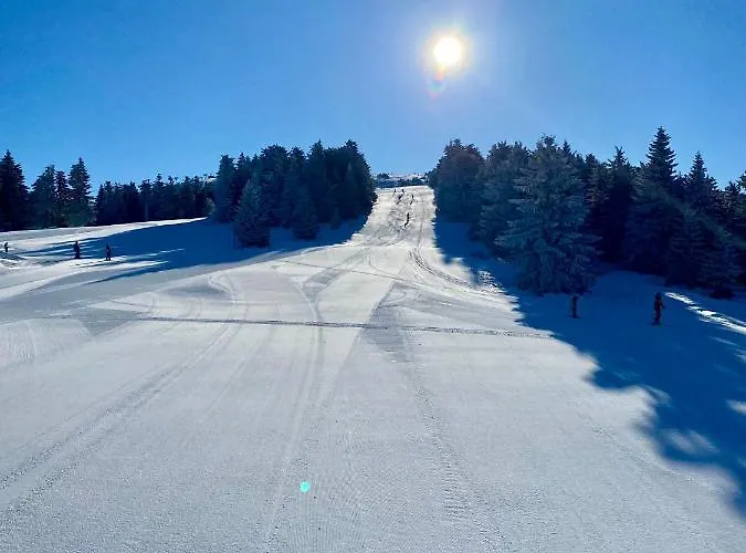 Lejlighed Duplex Vidik B30 - 85m2 Kopaonik