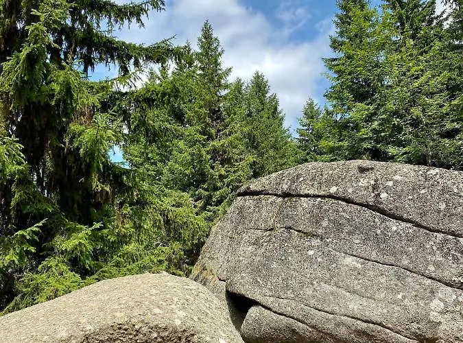 Duplex Vidik B30 - 85m2 Lejlighed