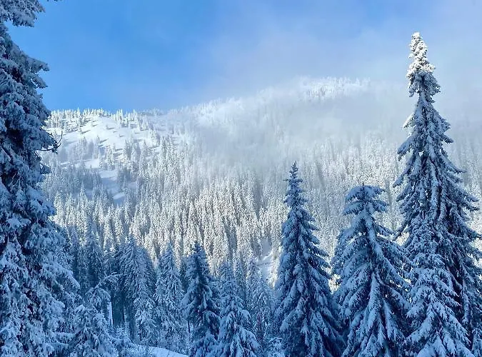 Duplex Vidik B30 - 85m2 Kopaonik