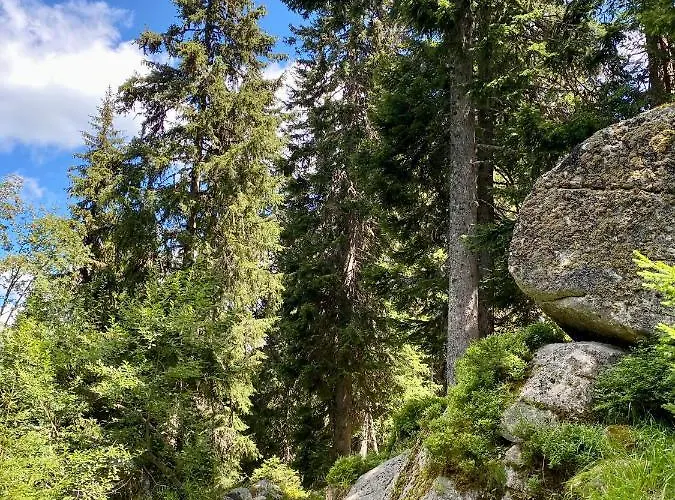 Lejlighed Duplex Vidik B30 - 85m2 Kopaonik