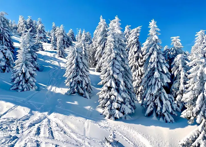 Lejlighed Duplex Vidik B30 - 85m2 *